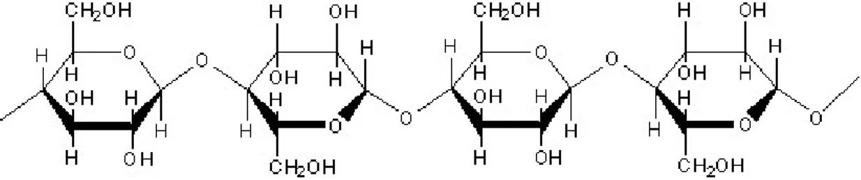 Gambar 2.3  Struktur Kimia Selulosa  (Fessenden, R.J, dan Fessenden, J.S., 1986) 