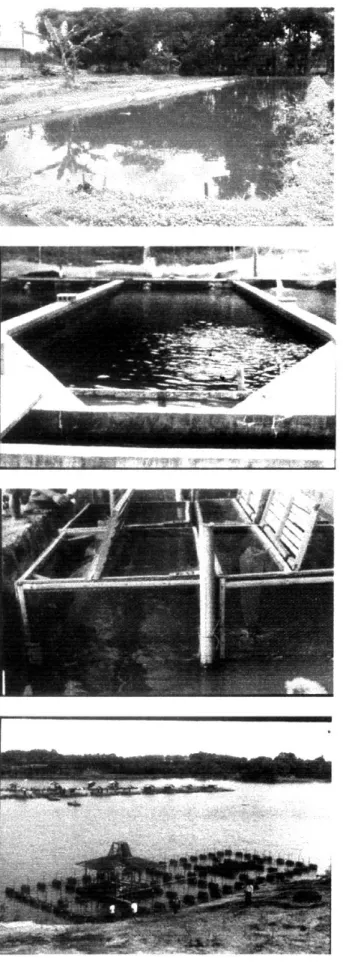 Gambar 6. Kolam Permanen 
