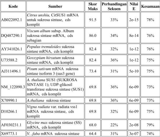 Tabel 2. Penyejajaran nilai kesamaan basa nukleotida sukrosa sintase                 dari beberapa tumbuhan (Blastn NCBI, 2007) 