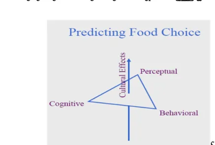 Gambar  2.  menunjukkan  bahwa  untuk  mengerti  tingkah  laku  konsumen  perlu  memahami hubungan proses kognitif dan persepsi suatu individu