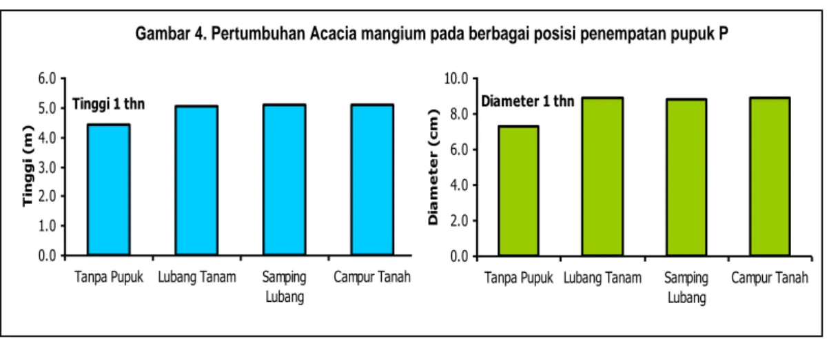 Gambar 4. Pertumbuhan Acacia mangium pada berbagai posisi penempatan pupuk P