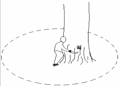 Gambar  2.  Pembersihan Pangkal Pohon 