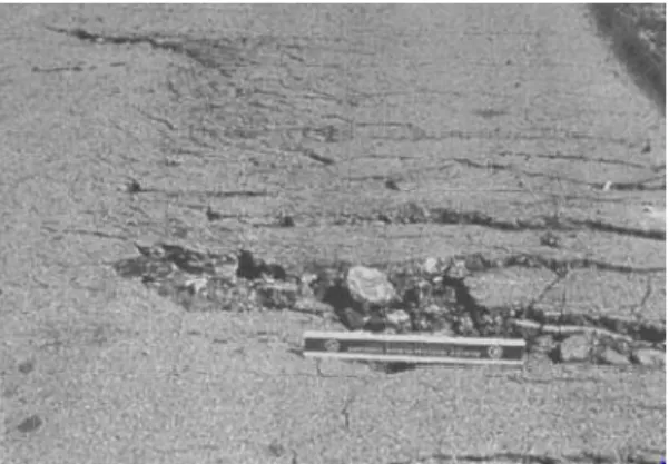 Gambar 2. 17 Slippage Cracking (Shahin, 1994) 