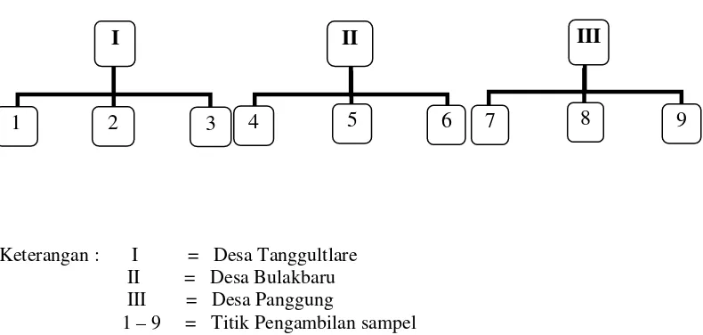 Gambar 4. Desain Penelitian Mangrove 