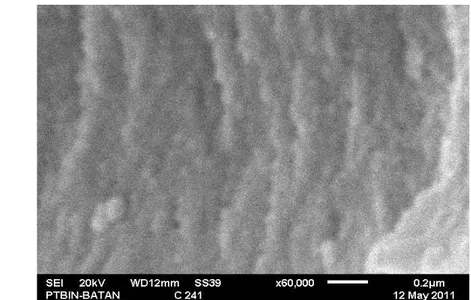 Gambar 28 Morfologi permukaan sampel C 241 . Perbesaran 60.000 kali 