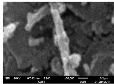 Gambar 30 Morfologi permukaan sampel C 261 . Perbesaran 60.000 kali 