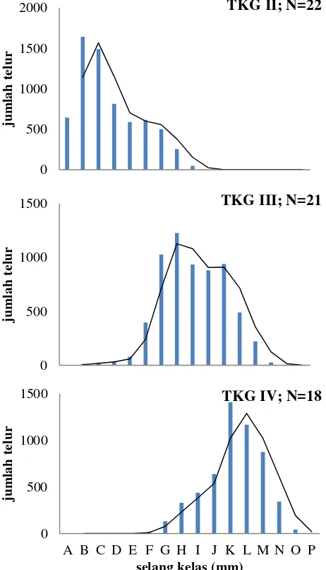 Gambar 11 Diameter telur ikan belanak TKG II, III, dan IV 