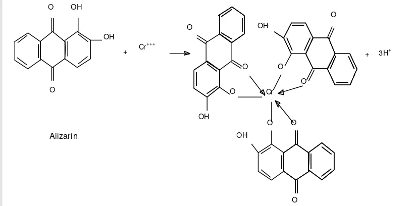 Gambar 2  Reaksi pembentukan komplek dengan ion krom (Vankar 2000) 