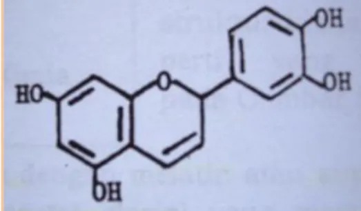 Gambar 3. Struktur Kimia Asam Catechutannat (Nazir, 2000) 
