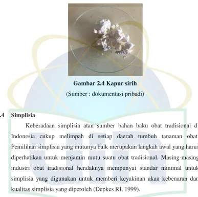 Gambar 2.4 Kapur sirih 