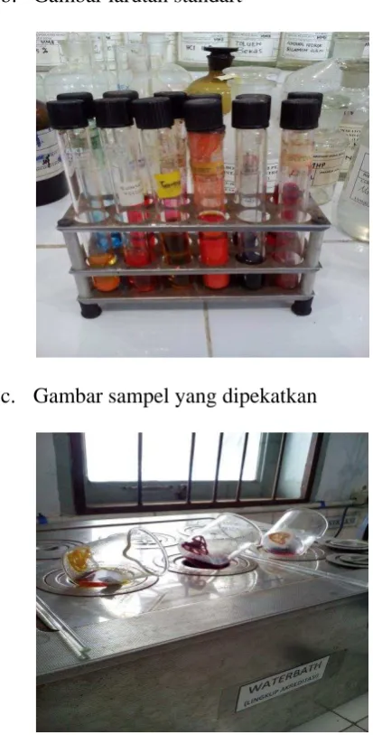 Gambar larutan standart  