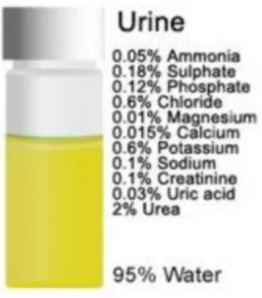 Gambar 6.1. Komposisi Urine 