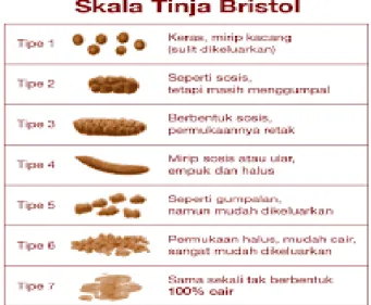 Gambar 9.1. Variasi Bentuk Tinja  