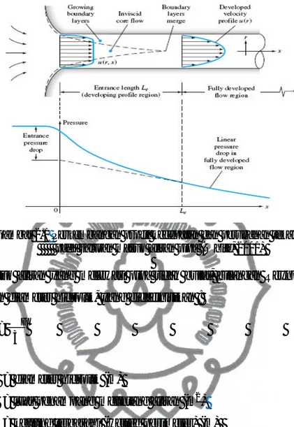 Gambar 2.1 Perkembangan profil kecepatan dan perubahan tekanan         pada saluran masuk aliran pipa (White, 2001)  