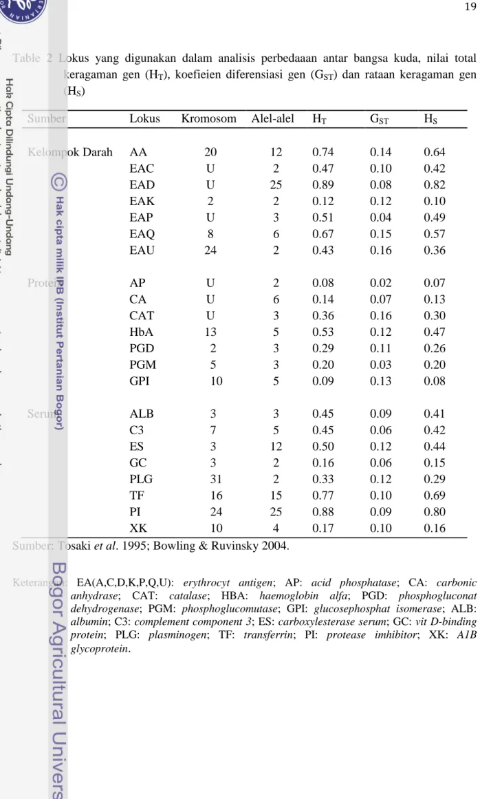 Table  2  Lokus  yang  digunakan  dalam  analisis  perbedaaan  antar  bangsa  kuda,  nilai  total  keragaman  gen  (H T ),  koefieien  diferensiasi  gen  (G ST )  dan  rataan  keragaman  gen  (H S ) 