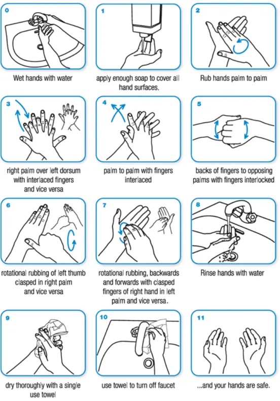 Gambar 1. Cara mencuci tangan menurut WHO (2009)