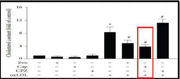 Gambar  3.  Efek  Evodiamine  dan  Capsaicin  dalam  Menurunkan  Jumlah  Kolesterol  dalam  Makrofag Foam Cell 