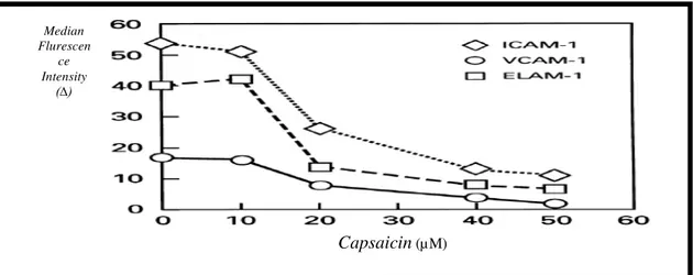 Gambar 6. Efek Senyawa Capsaicin dalam Menurunkan Ekspresi Molekul Adhesi VCAM-1,  ICAM-1, dan ELAM-1 