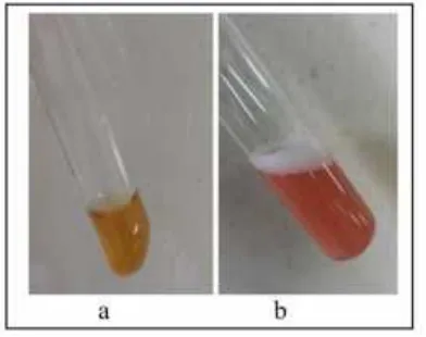 Gambar 4. Hasil Indentifikasi senyawaflavonol  pada ekstrak  limbahkulit buah apel  (a) sebelumditambah pereaksi (b) sesudahditambah pereaksi
