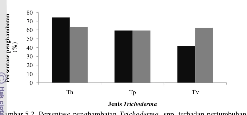 Gambar 5.2  Persentase penghambatan Trichoderma  spp. terhadap pertumbuhan 