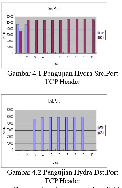 Gambar 4.1 Pengujian Hydra Src,Port