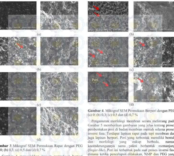 Gambar  3   Mikograf  SEM  Permukaan  Rapat  dengan  PEG  (a) 0; (b) 0,3; (c) 0,5 dan (d) 0,7 % 
