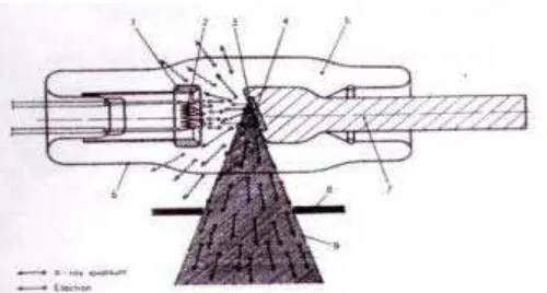 Gambar 2.4 Skema tabung sinar-X (Hoxster,1982). 