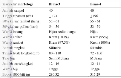 Tabel 4. Karakter morfologi hibrida Bima-3 dan Bima-4 pada pengujian lapang Cikabayan