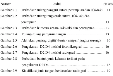 Gambar 2.1  Perbedaan tulang panggul antara perempuan dan laki-laki  11 