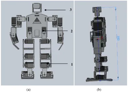 Gambar 3.5 Desain humanoid robot tampak depan (a) dan tampak samping (b). 