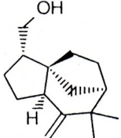 Gambar 3. Struktur molekul khusimol (Akhila dan Rani, 2002).          4. Khusol 