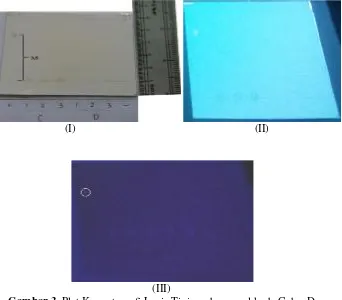 Gambar 3. Plat Kromatografi Lapis Tipis pada sampel kode C dan DKeterangan gambar 3  :( I ) Sampel C dan D setelah selesai dielusi( II ) Sampel C dan D pada lampu UV 245 nm( III ) Sampel C dan D pada lampu UV 366 nm