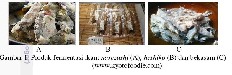 Gambar 1  Produk fermentasi ikan; narezushi (A), heshiko (B) dan bekasam (C) 