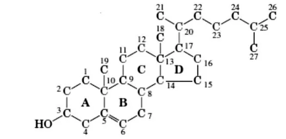 Gambar 2  Struktur kimia kolesterol (Nelson & Cox 2010) 