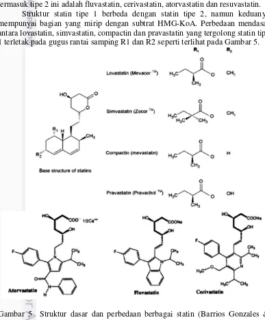 Gambar 5  Struktur dasar dan perbedaan berbagai statin (Barrios Gonzales & Miranda 2010, Dansette et al