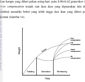 Gambar 14. Pertumbuhan kompensasi berdasarkan Jobling (1994) 