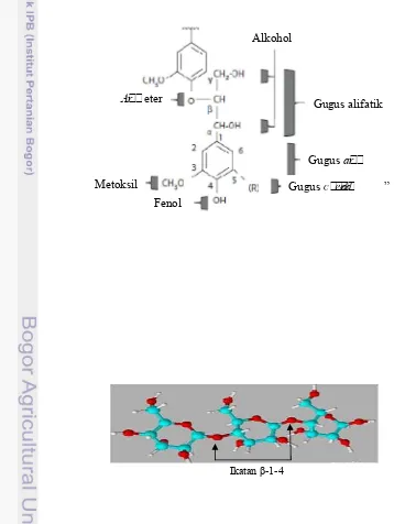Gambar 21 Gugus fungsional lignin (Dimmel 2010)