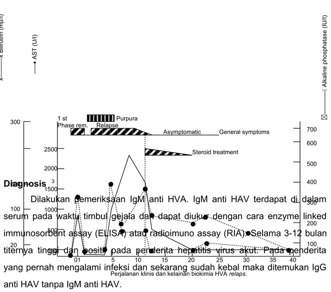 Gambar Perjalanan Klinis dan Kelainan Biokimia HVA Relaps