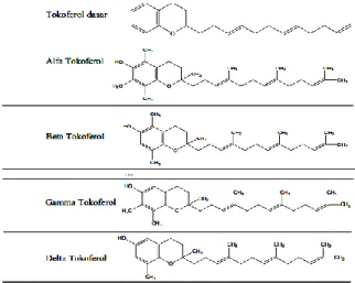 Tabel 1.  Input  Struktur  Molekul  Senyawa  Dyes  Alami beserta turunannya 