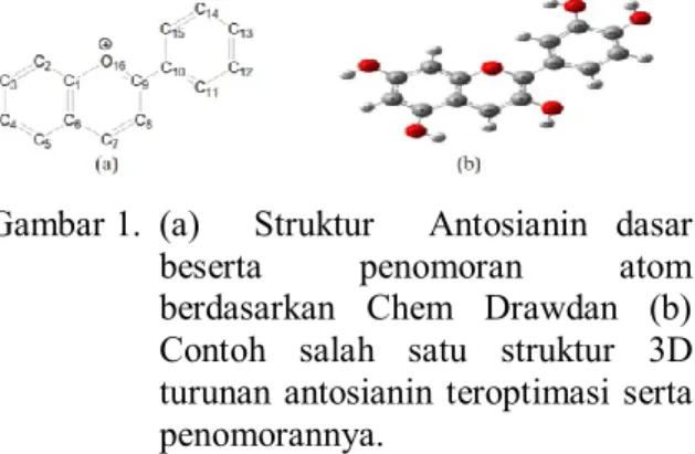 Gambar 1.  (a)    Struktur    Antosianin  dasar  beserta  penomoran  atom  berdasarkan  Chem  Drawdan  (b)  Contoh  salah  satu  struktur  3D  turunan  antosianin  teroptimasi  serta  penomorannya
