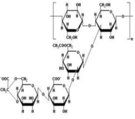 Gambar 3. Struktur molekul  xanthan gum (Williams  and Phillips,  2004). 