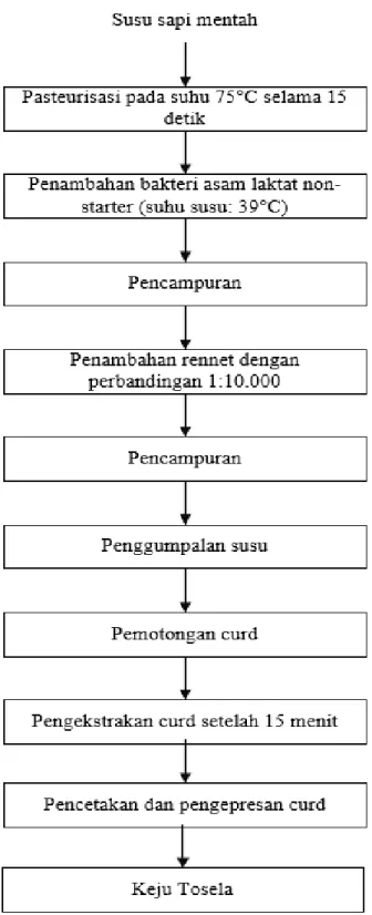 Gambar 1 Diagram Alir Pembuatan Keju Tosela dengan Kombinasi Terbaik  (Settani dkk., 2011) 
