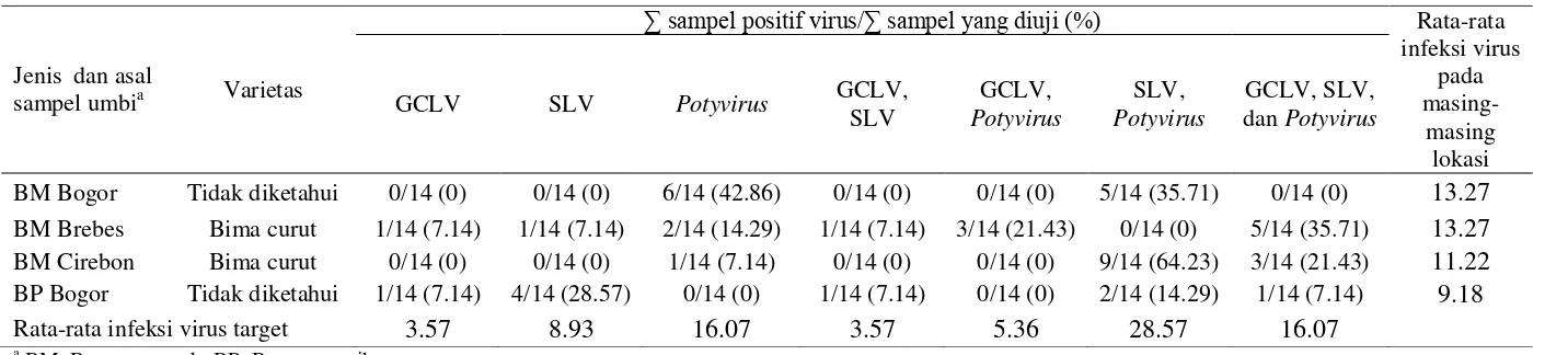Tabel 5  Jumlah persentase dan rata-rata infeksi virus dari  jenis sampel bawang lapangan  