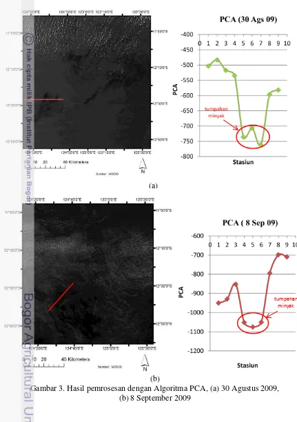 Gambar 3. Hasil pemrosesan dengan Algoritma PCA, (a) 30 Agustus 2009,  