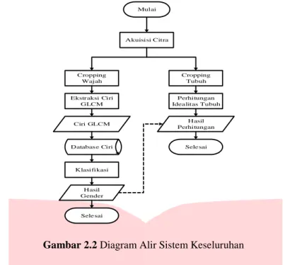 Gambar 2.2 Diagram Alir Sistem Keseluruhan  2.8  Akuisisi Citra 