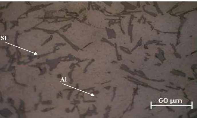 Gambar 4.1 Struktur mikro material piston original dengan  perbesaran mikroskop Matrik Al- Si 