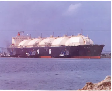 Gambar 2.4. Kapal Tanker LNG 