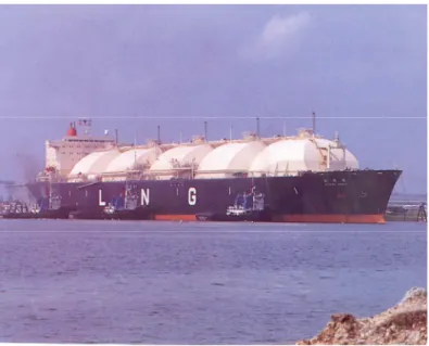 Gambar 2.4. Kapal Tanker LNG 