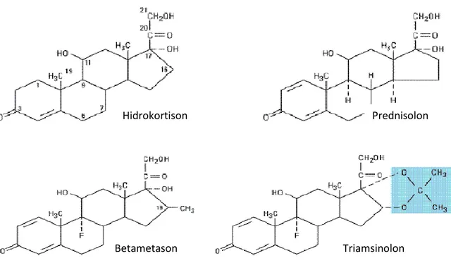 Gambar 4. Struktur Beberapa Kortikosteroid 
