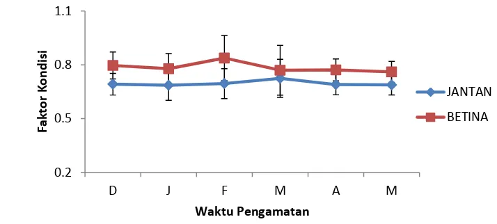 Gambar 2 Nilai tengah faktor kondisi ikan belanak (C. subviridis) betina dan jantan 